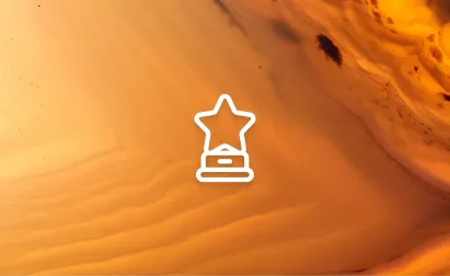 Bright Labs and ICCONS win the ORIA for Best B2 B Online Retailer