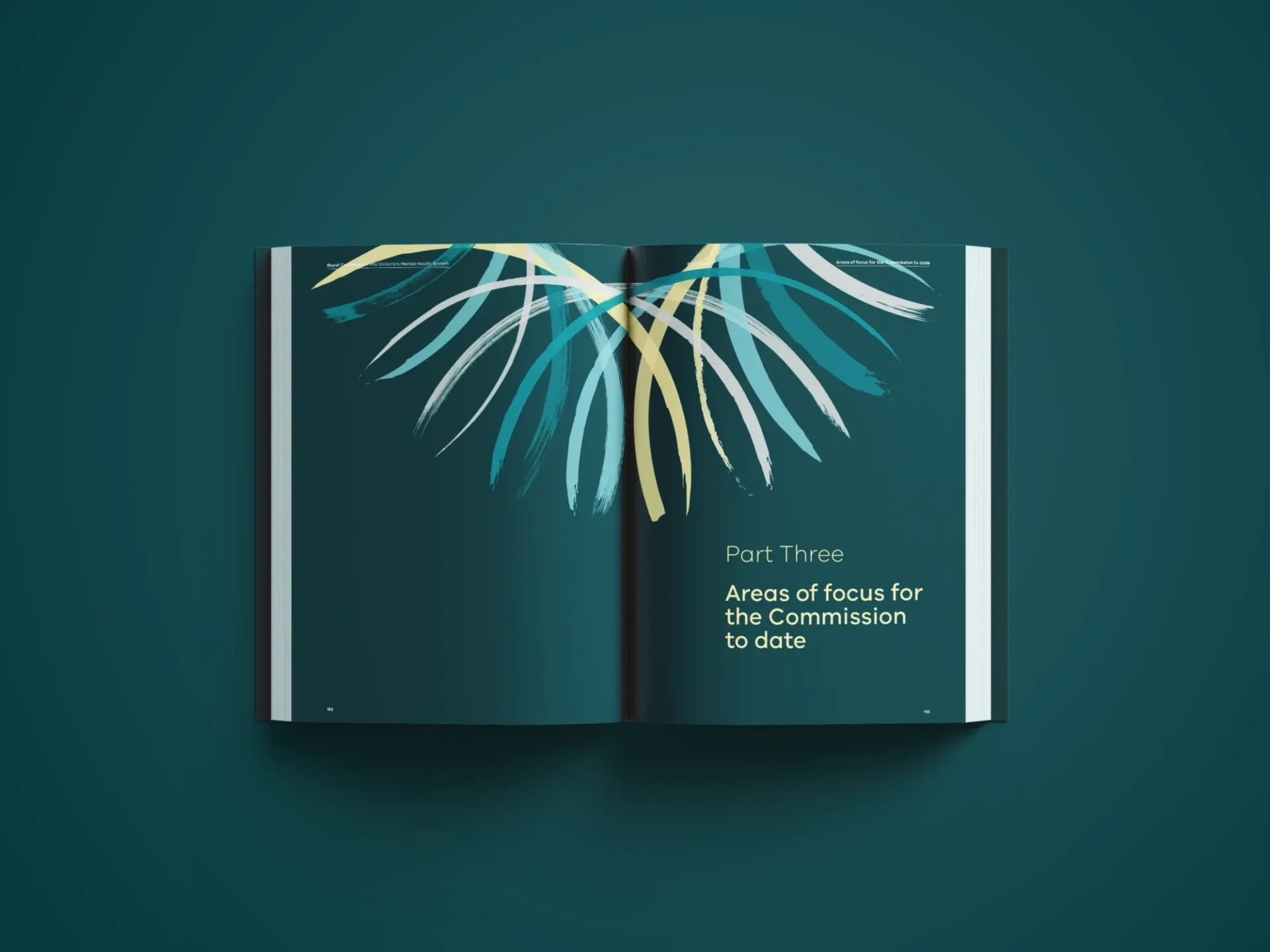 Mental Health Royal Commission 3