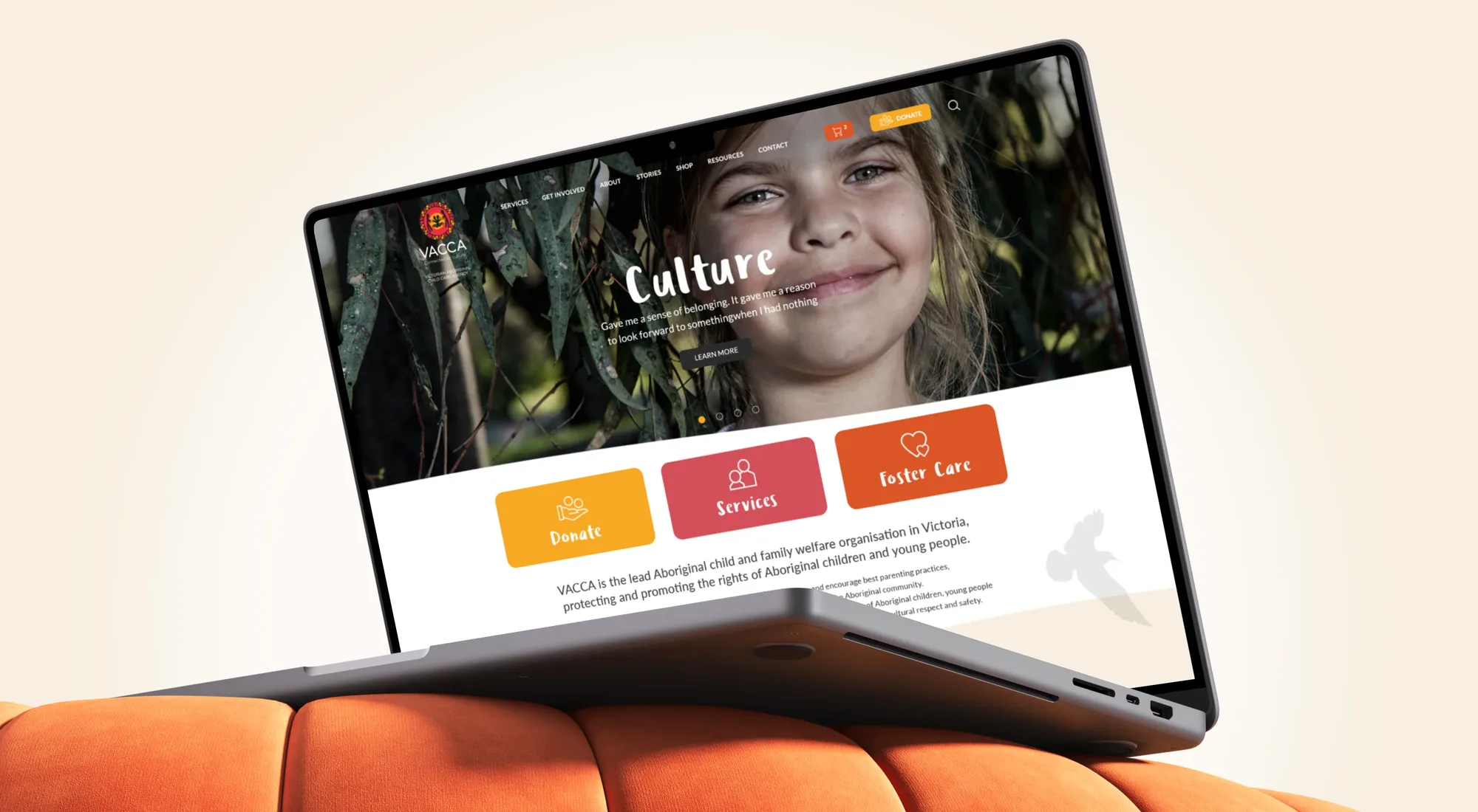 0 Vacca Intro Image new