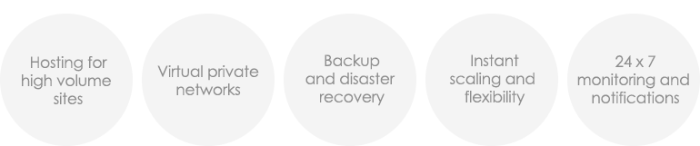 Hosting Services: Hosting for high volume and transaction heavy sites, Virtual Private Networks, Backup and disaster recovery, Instant scaling and flexibility, 24x7 monitoring and notifications